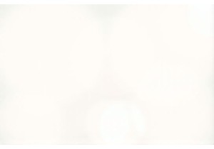 Fresh Market Ingredients Fuel the Best Chinese Street Food