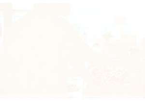 Culinary Adventure Gains Depth Through Fresh Market Immersion