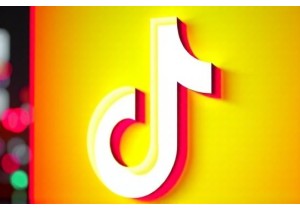 Why Wild Idol Trends Dominate Viral Video Trends China