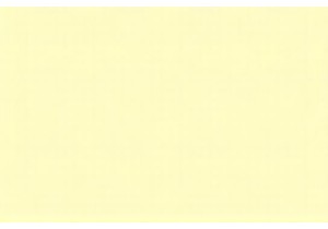 Culinary Adventure Notes from a Weeklong Wok and Walk in Guangzhou