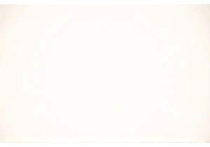 Why Guangzhou Wet Market Is the Heartbeat of Authentic Chinese Cuisine