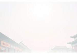 Wok & Walk Chronicles Daily Rhythms of a Beijing Fresh Market