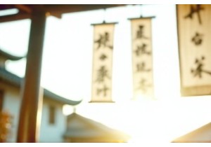 Discover Intangible Cultural Heritage Travel in China Through Hands On Workshops