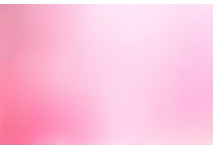 Why Every Culinary Adventure Needs a Stop at a Real Fresh Market