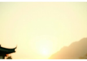 From Market to Wok How Local Eats Shape True Chinese Flavor