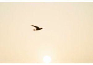 Chinese Folk Culture Travel With Direct Access To Embroidery Masters And Ceramic Families