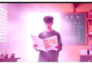 How Local Perspective China Uncovers Hidden Layers of Social Phenomena