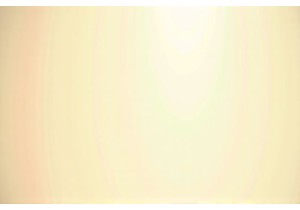 How Wok & Walk Explores Guangzhou Wet Market Freshness