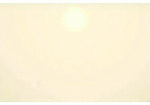 How Guangzhou Wet Market Shapes the Future of Chinese Street Food