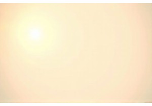 What Makes a Chinese Restaurant Truly Authentic Beyond the Menu Choices