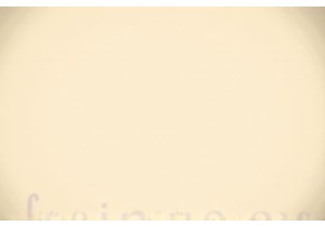 Guangzhou Wet Market Secrets Shared by Veteran Chinese Chefs