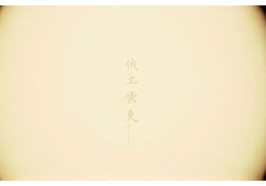 How Food Travel China Helps You Understand Local Eats Deeply