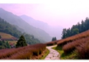 Off the Beaten Path China Birdwatching & Herbal Walks